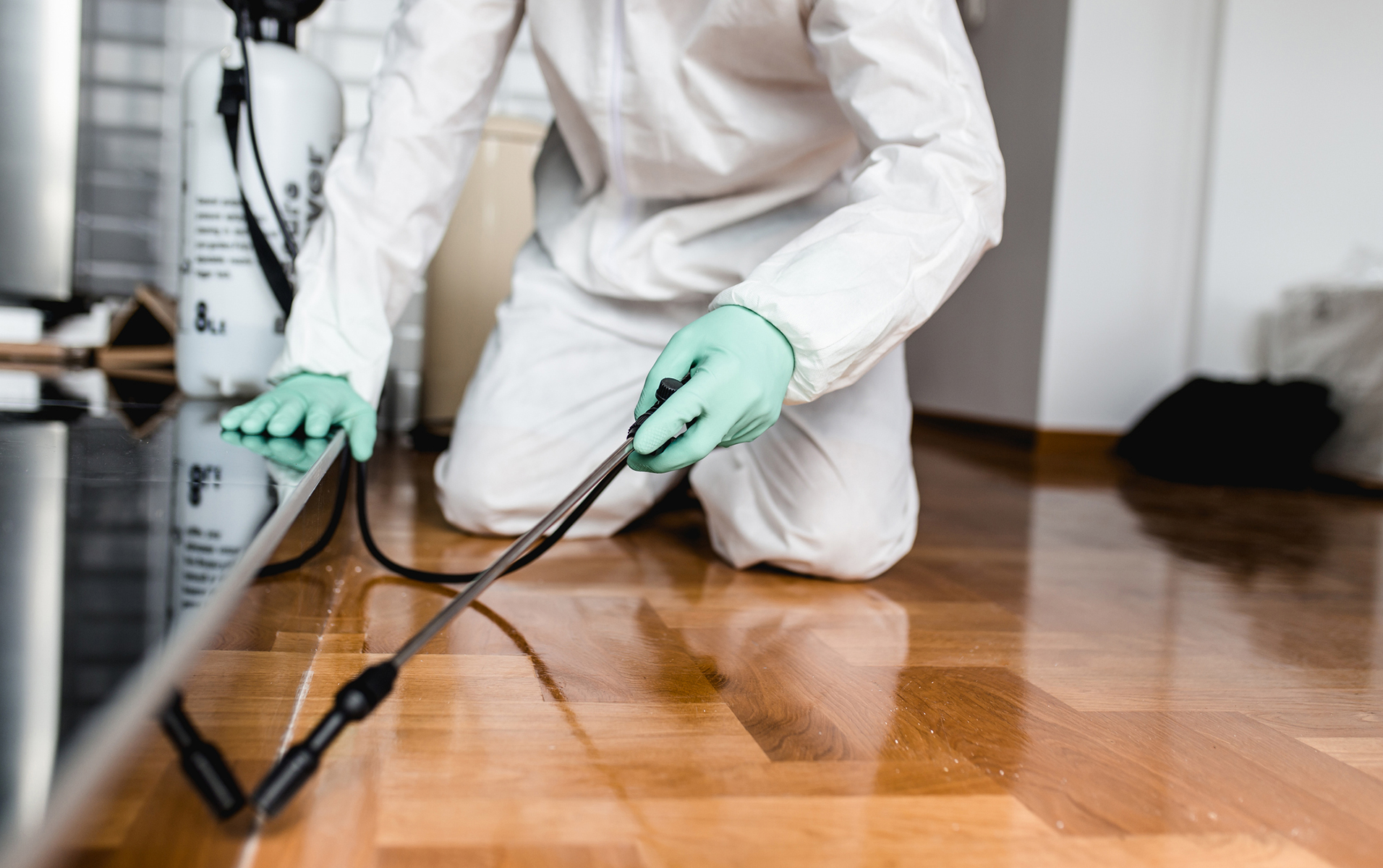 Pest Control Services in Doha Qatar
