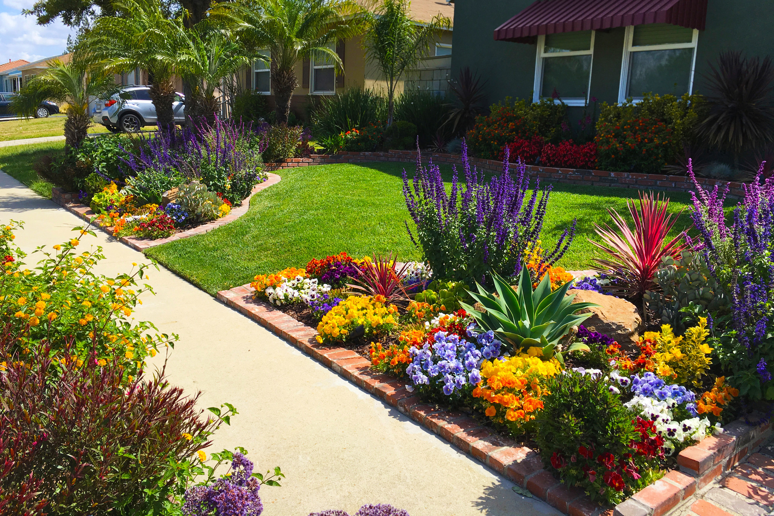 Landscape Maintenance in Doha Qatar