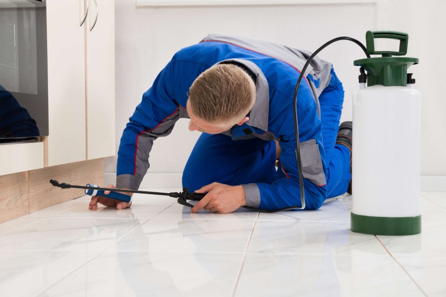 PEST CONTROL EQUIPMENT AND SUPPLIES in Doha Qatar