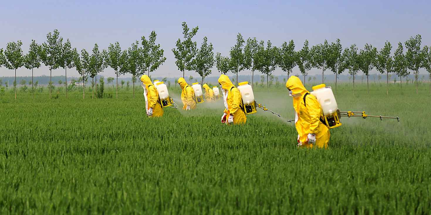 PESTICIDES in Doha Qatar